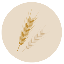 barley growers barley growers