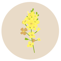 oil seed rape growers oil seed rape growers