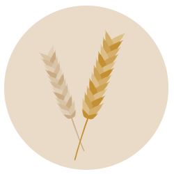 wheat growers wheat growers