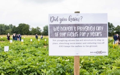 Particularly Good Potatoes Aims for Carbon Neutrality Milestone