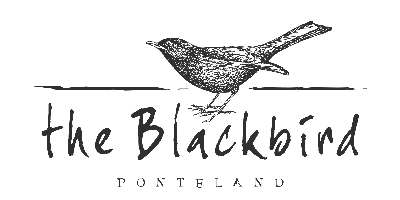 the blackbird