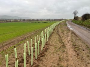 20260319 110121925 iOS